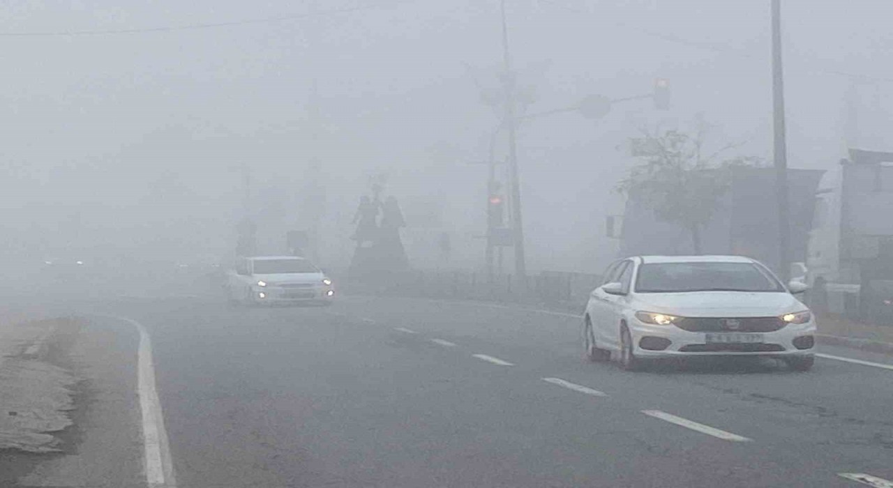 Iğdır'da yoğun sis etkili oldu