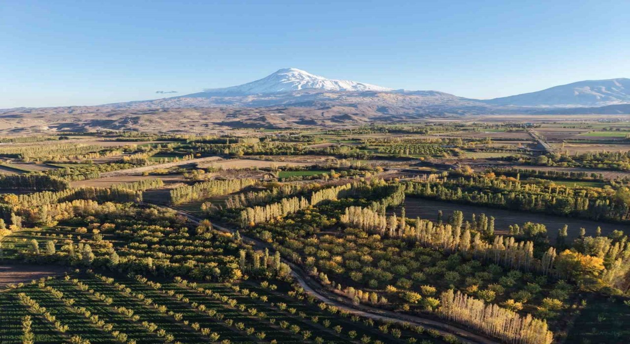 Iğdırın renk cümbüşüne dönüşen doğal cenneti İrem Bağları, havadan görüntülendi