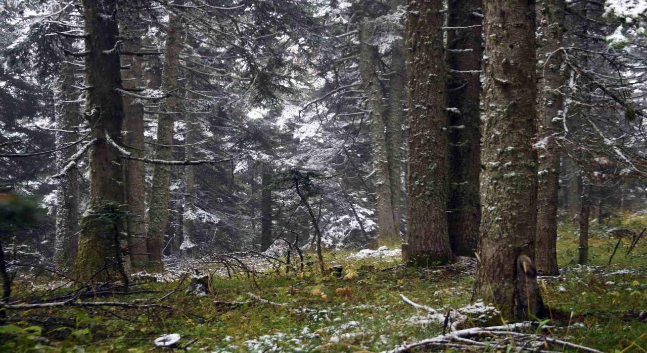 Ilgaz Dağında kar yağışı etkili oldu: Ortaya mest eden görüntüler çıktı