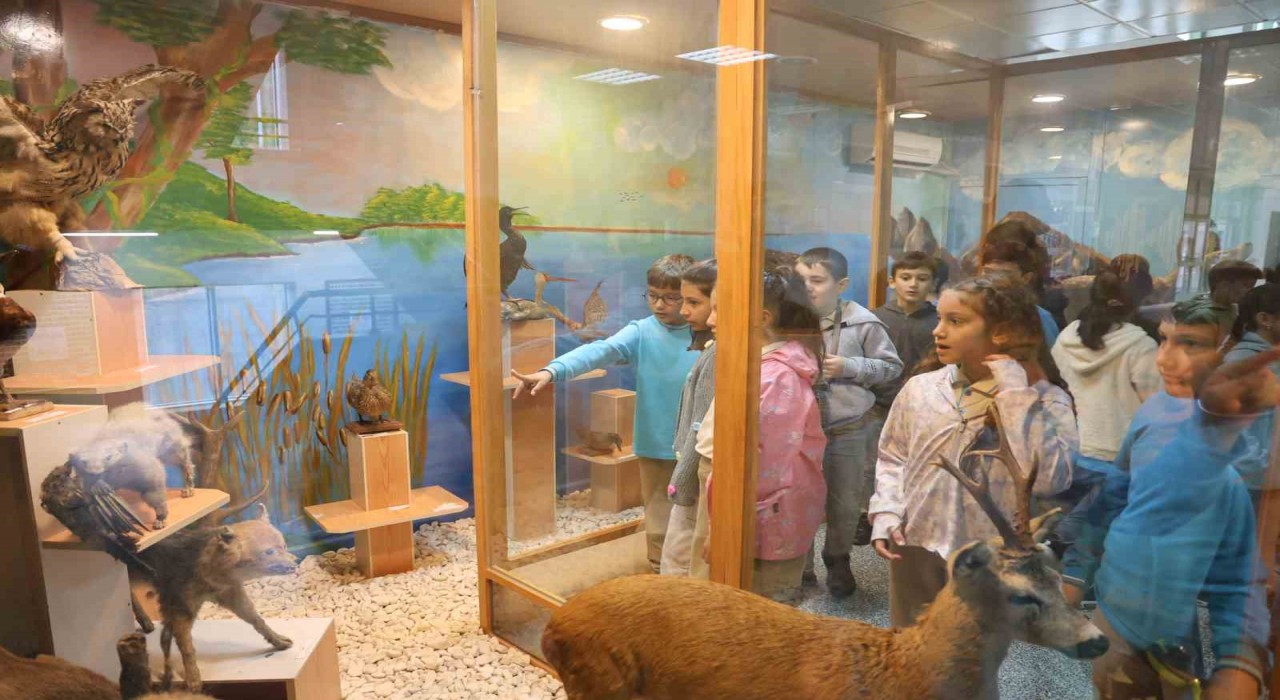 İlkokul öğrencileri doğayla buluştu