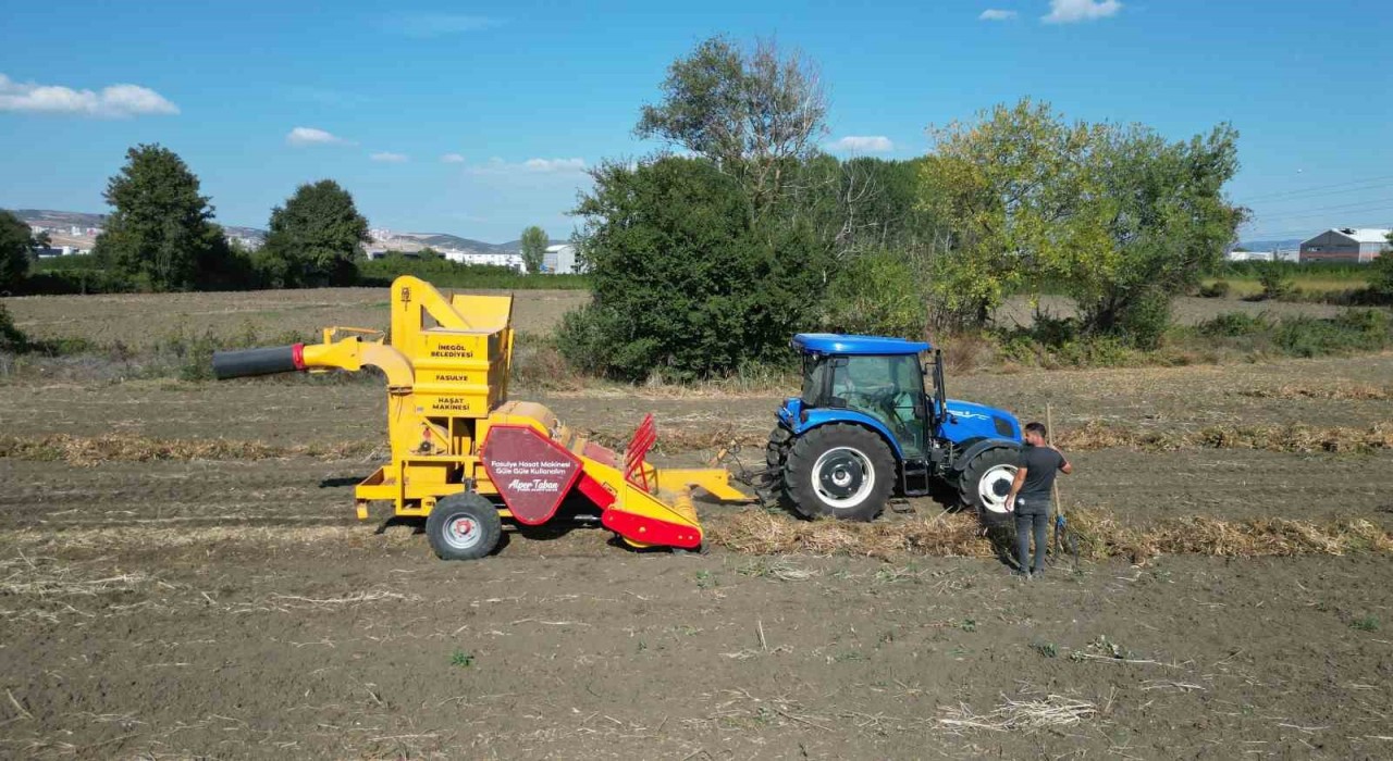 İnegölün cerrah kuru fasulyesinde hasat zamanı