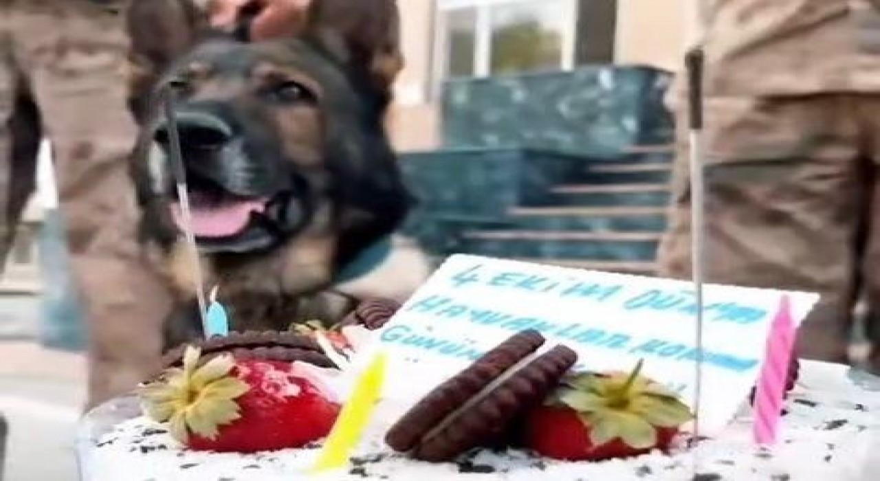 Jandarmadan ‘can dostlara özel kutlama