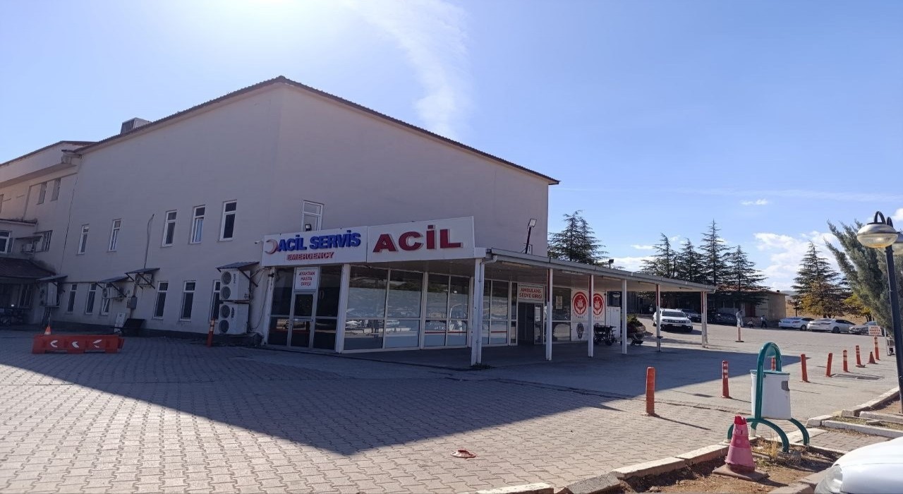 Kahramanmaraşta arının soktuğu çocuk hayatını kaybetti