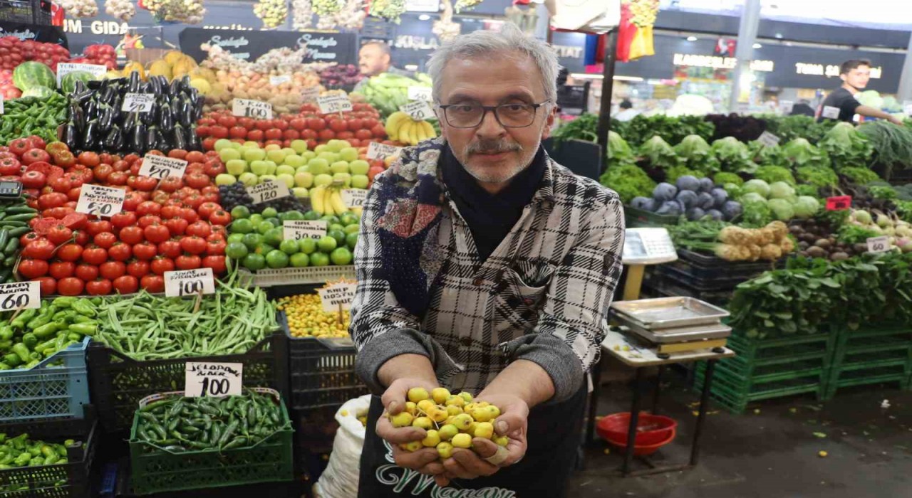 Kalp dostu alıç meyvesi tezgâhlardaki yerini aldı