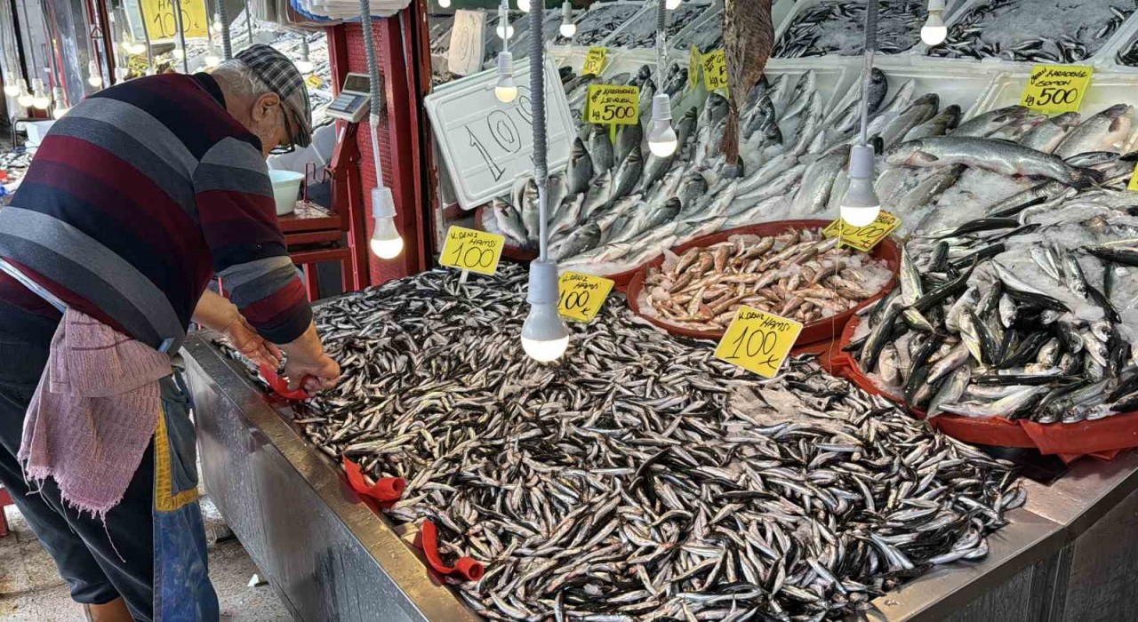 Karabükte balık tezgahlarında hamsi bolluğu: Kilosu 100 TLye kadar düştü