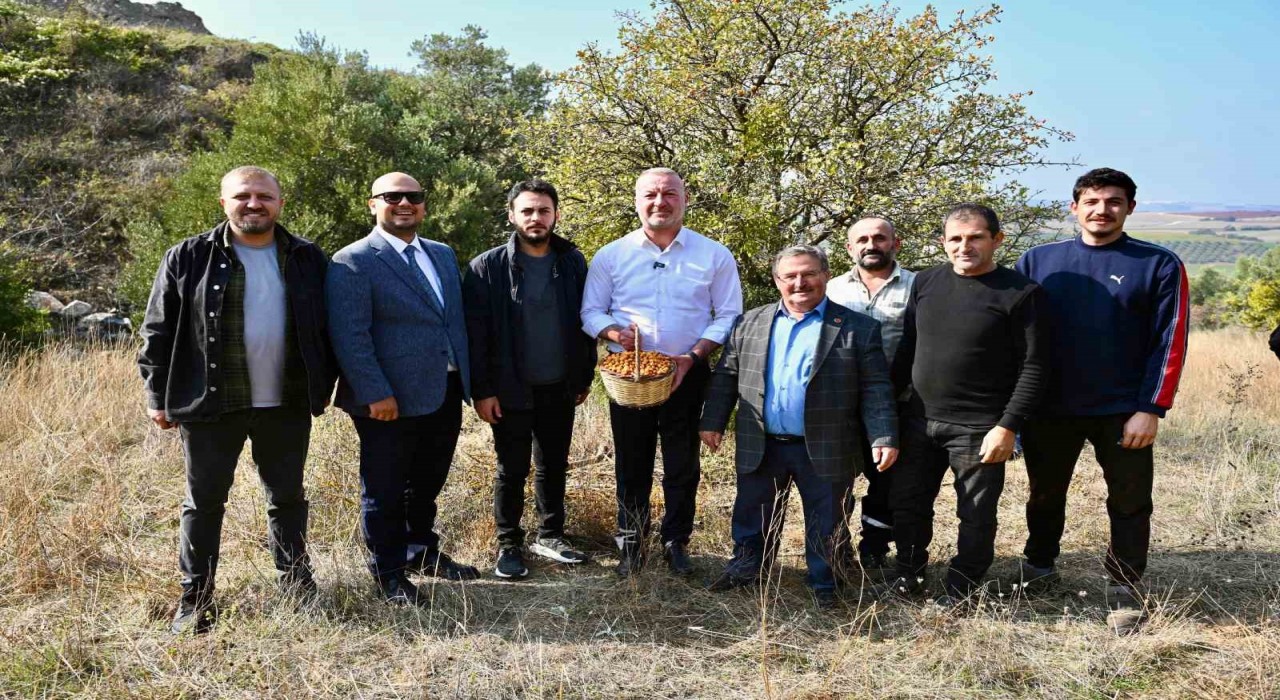 Karacabey Belediyesi, Alıç Meyvesini dünya pazarında tanıtacak