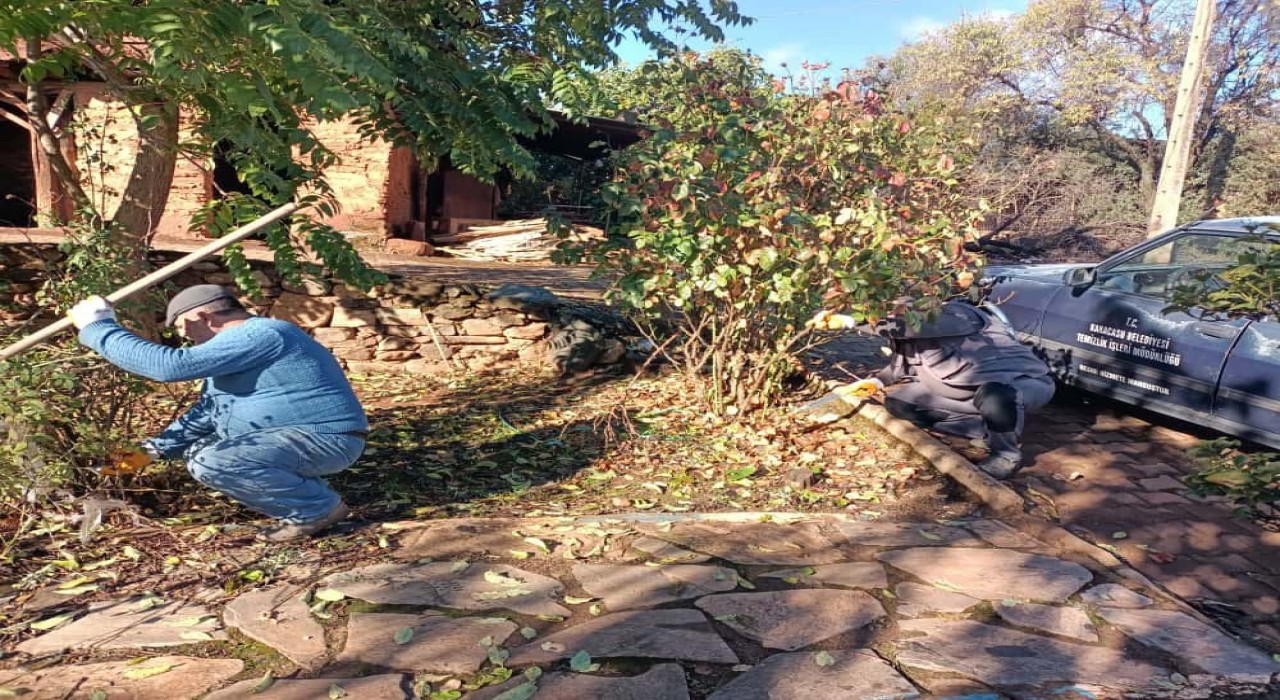 Karacasuda park ve bahçeler bakıma alındı