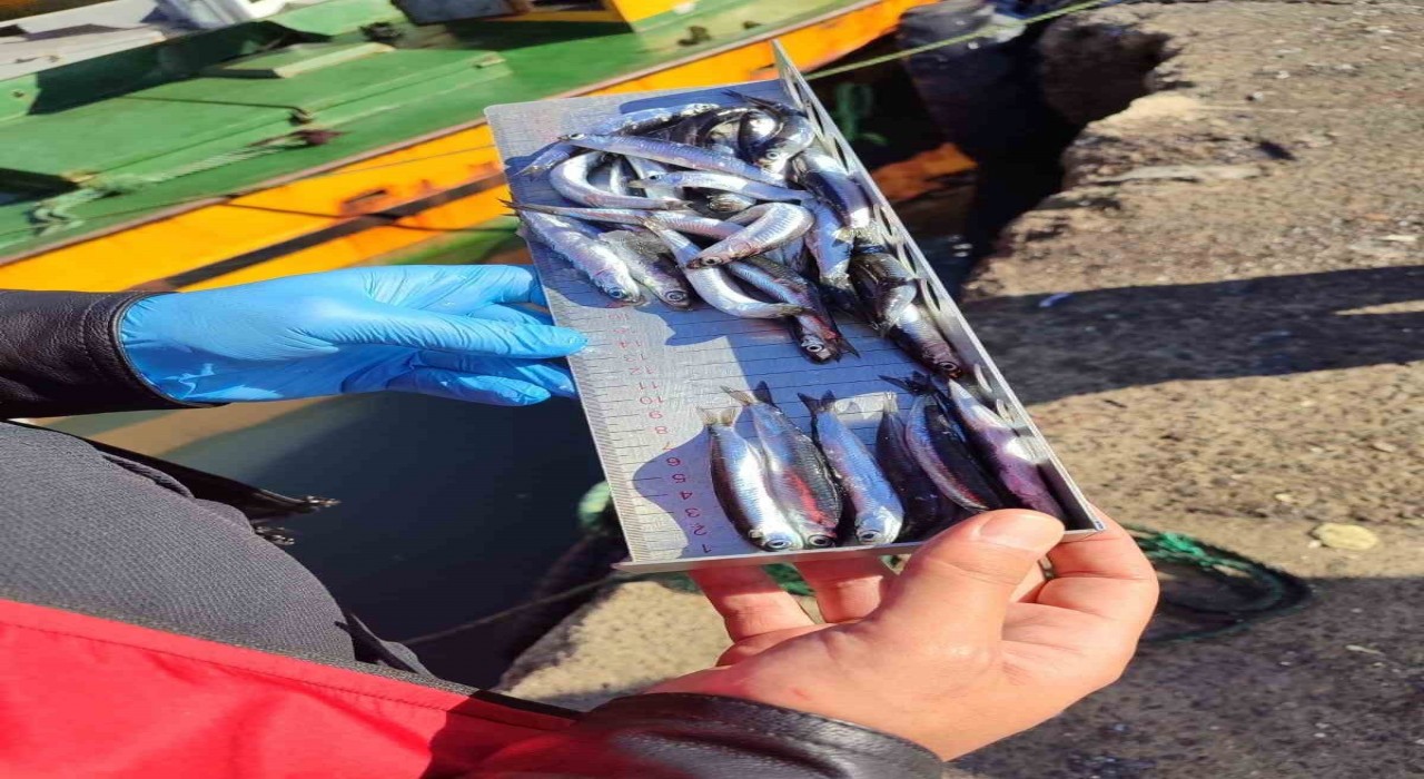 Karadeniz Ereğlide balıkçılık denetimlerinde 153 tekneye e-seyir onayı verildi