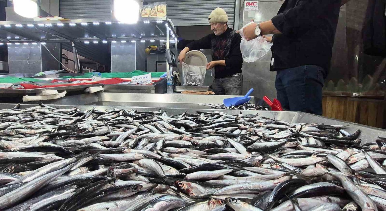 Karadenizde hamsi bollaştı, Bartında kilosu 50TLye düştü