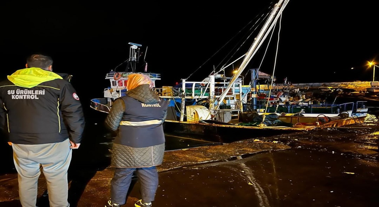 Karadenizde hamsi yoğunluğu devam ediyor