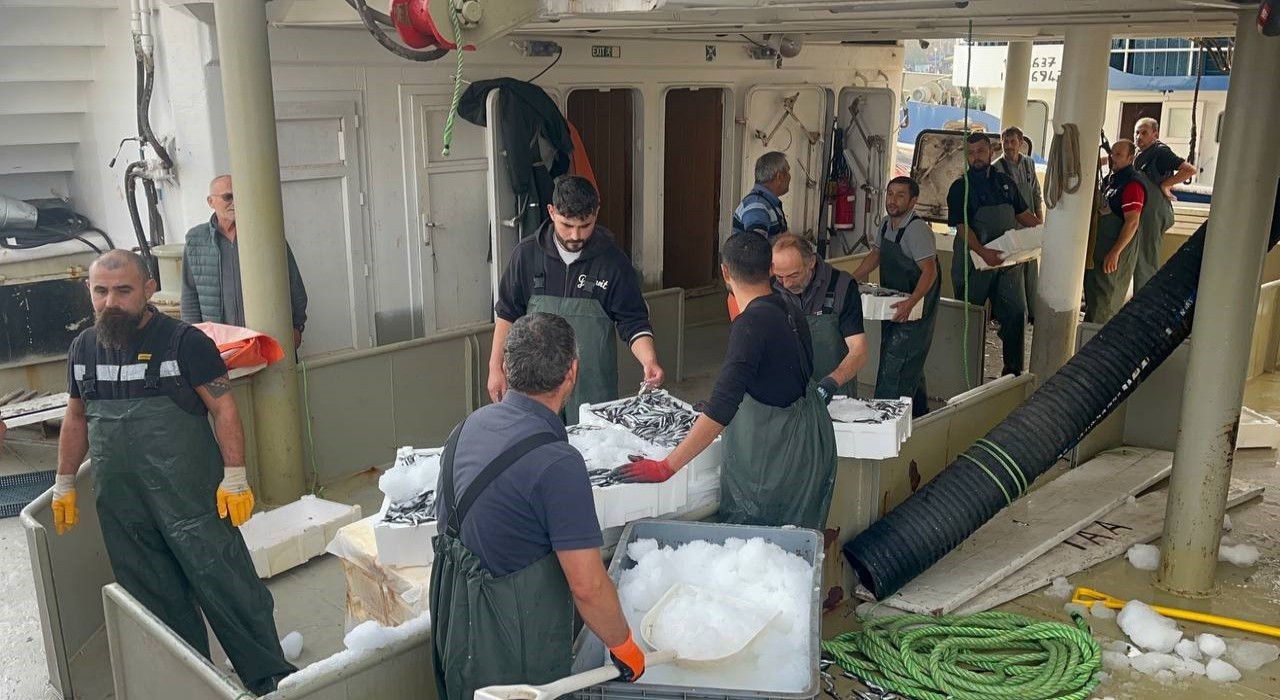 Karadenizden kasalarca hamsi çıktı