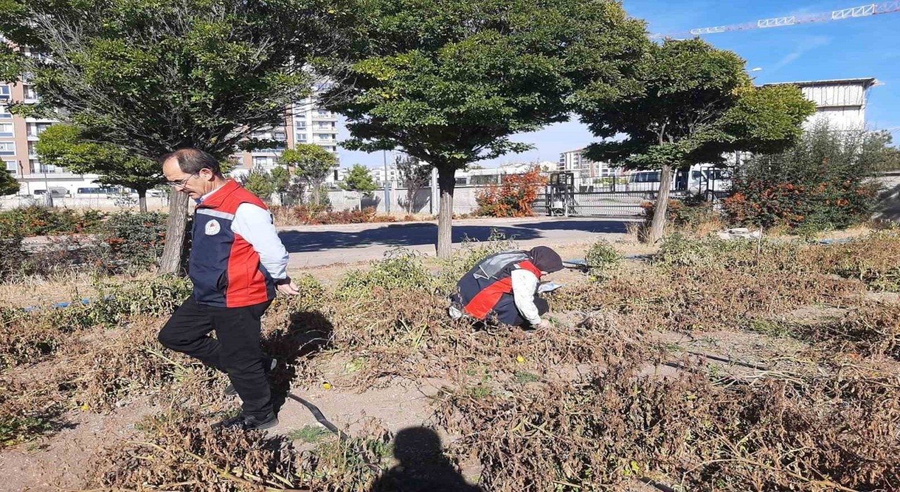 Karadenizin korkulu rüyası Sivasta görüldü