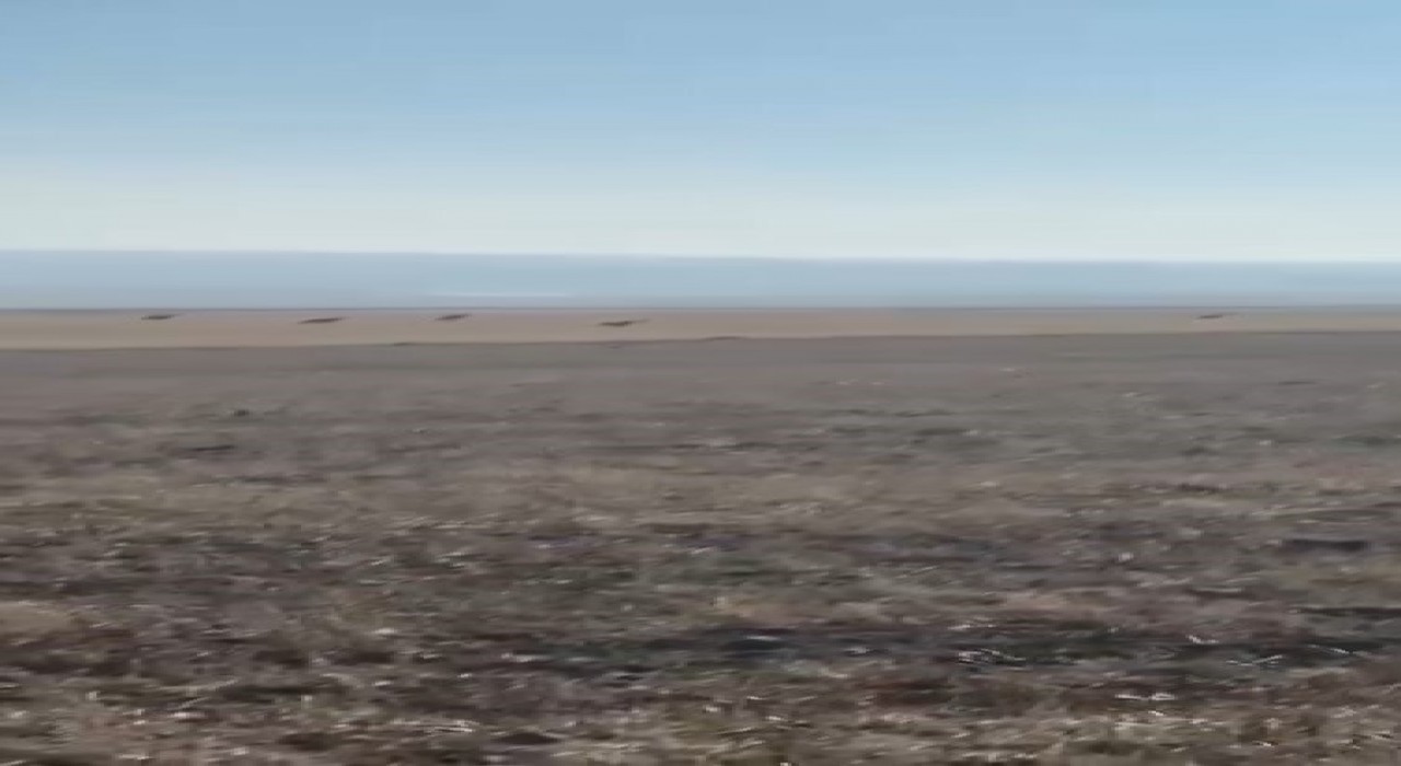 Karsta köye inen kurt sürüsü kamerada