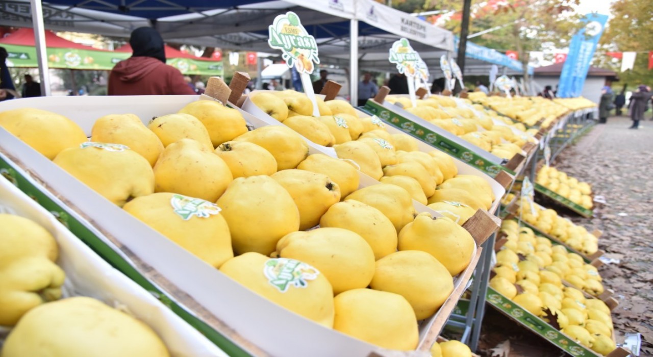 Kartepede Eşme Ayva Festivali düzenlenecek
