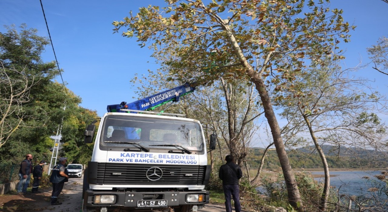 Kartepede yeşil alanlara bakım yapılıyor
