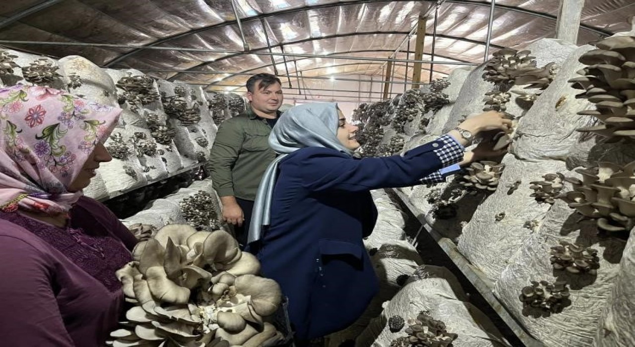 Kaymakam Kılıç: Yerel üretimi her zaman destekliyoruz