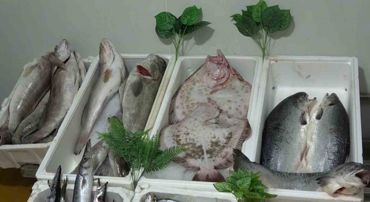 Kebap şehri Gaziantepin yeni gözdesi balık