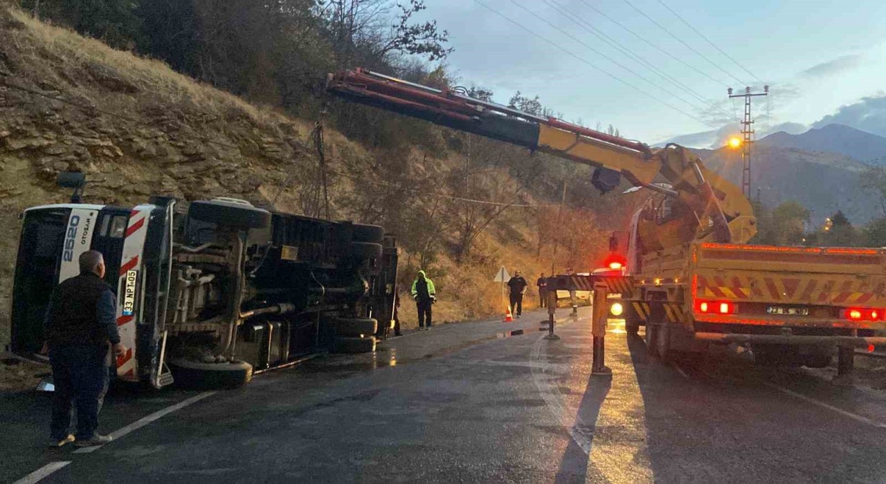 Kemaliyede canlı hayvan taşıyan çekici devrildi: 2 hayvanın ayağı kırıldı