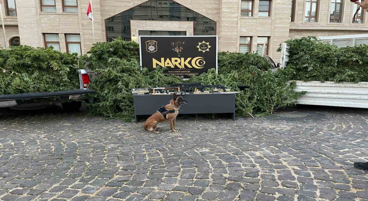 Kiliste uyuşturucu operasyonu: 1 tutuklama