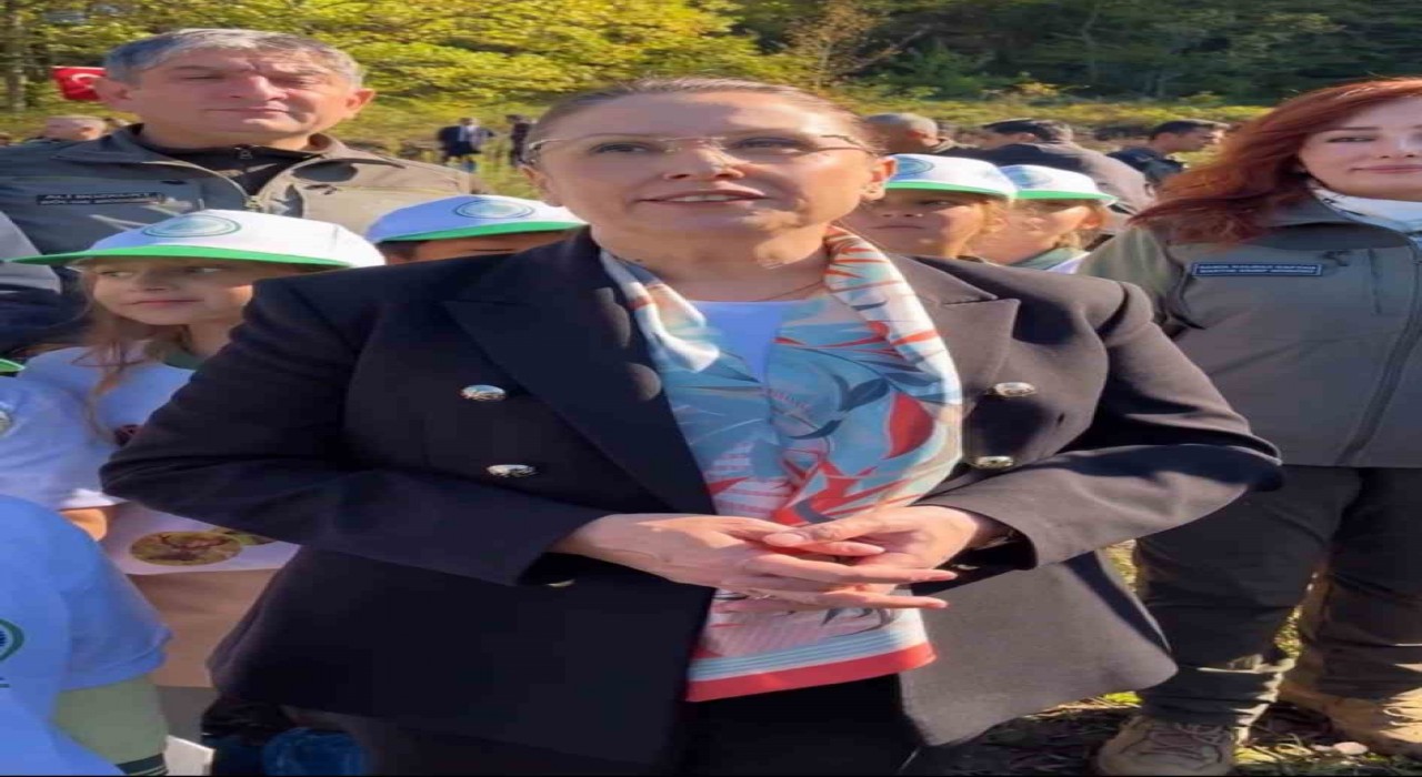 Kokarca istilasına karşı 250 sülün doğaya salındı