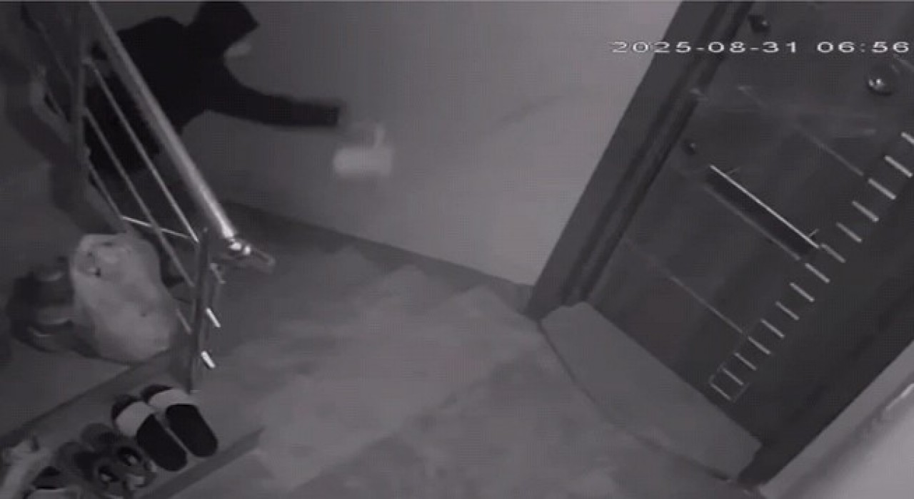 Komşularını canından bezdirdi