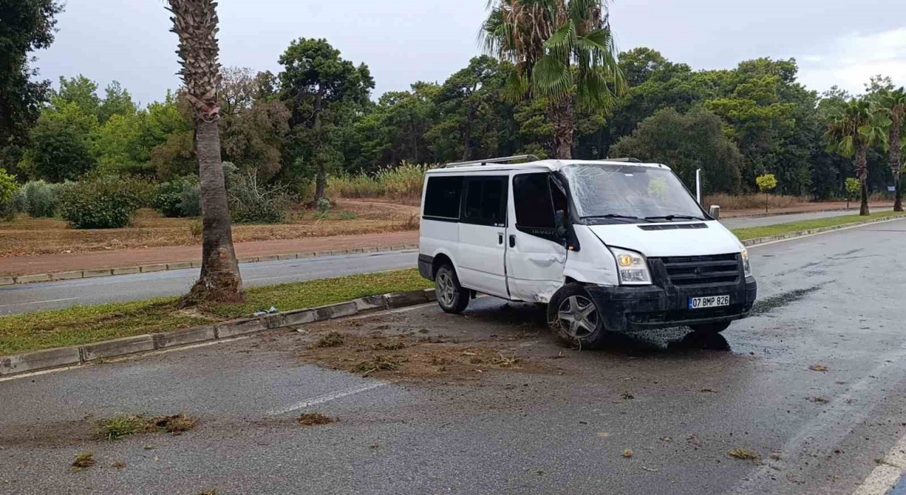 Kontrolden çıkan kamyonet palmiye ağacına çarptı: Kaza anı kamerada