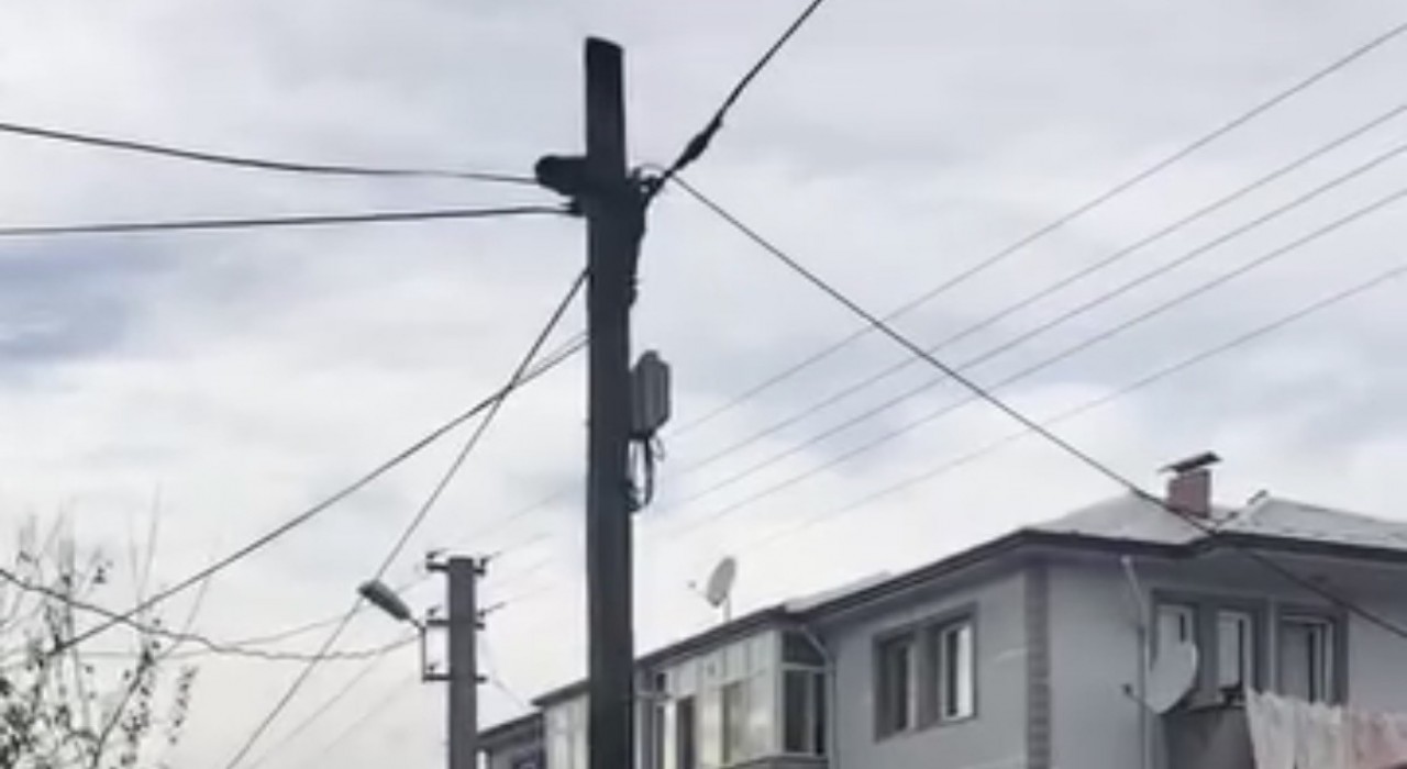 Köpeklerden kaçtı, direkte mahsur kaldı