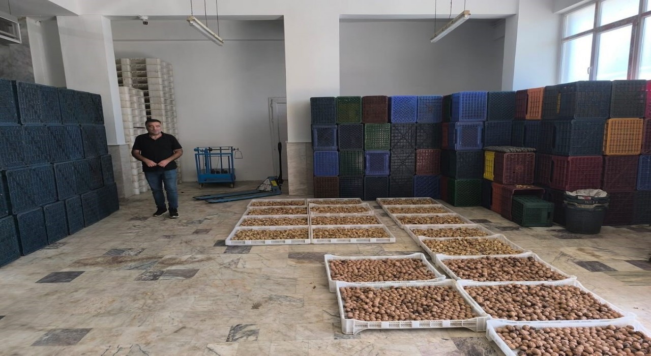 Köşkte kuru incir depolarına sıkı denetim