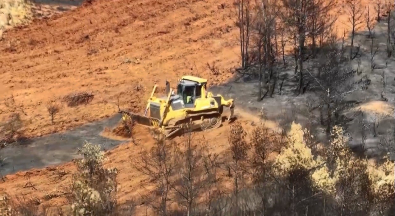 Köyceğizde yanan alanlara ilk fidanlar 11 Kasımda toprakla buluşacak