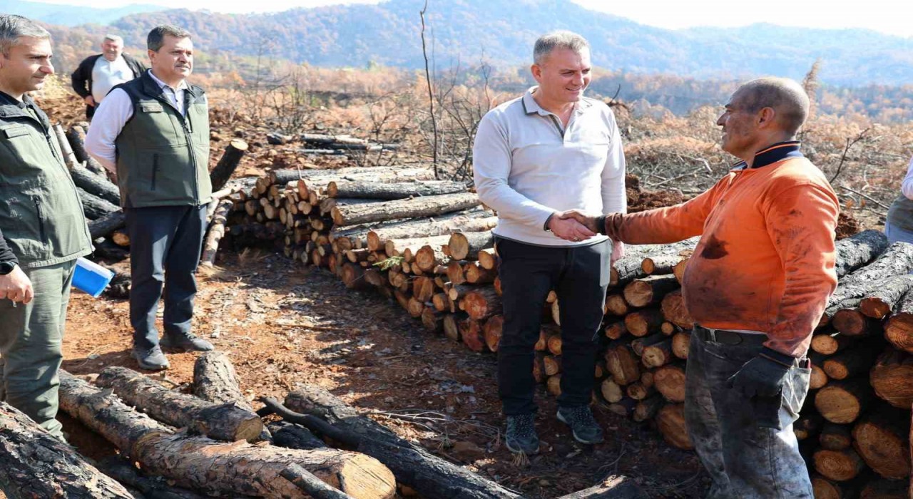 Köyceğizde yanan sahalar fidan dikimi için hazırlanıyor