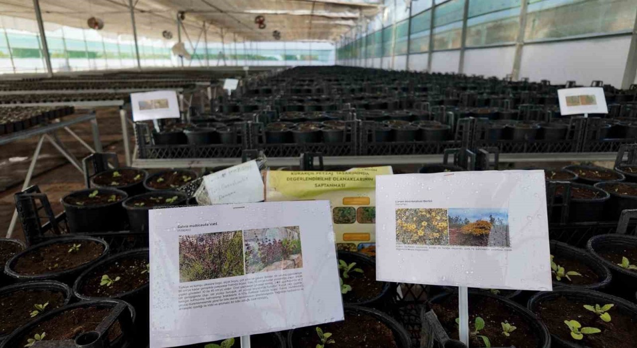 Kurakçıl Peyzaj Tasarımı Projesine destek