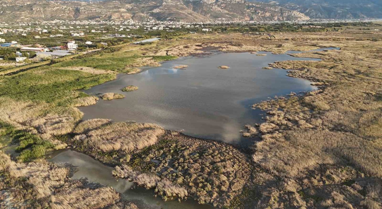 Kuraklığın etkisiyle çölü aratmaz hale gelen Milleyhada yağışlarla birlikte kuşların sesleri yankılanmaya başladı