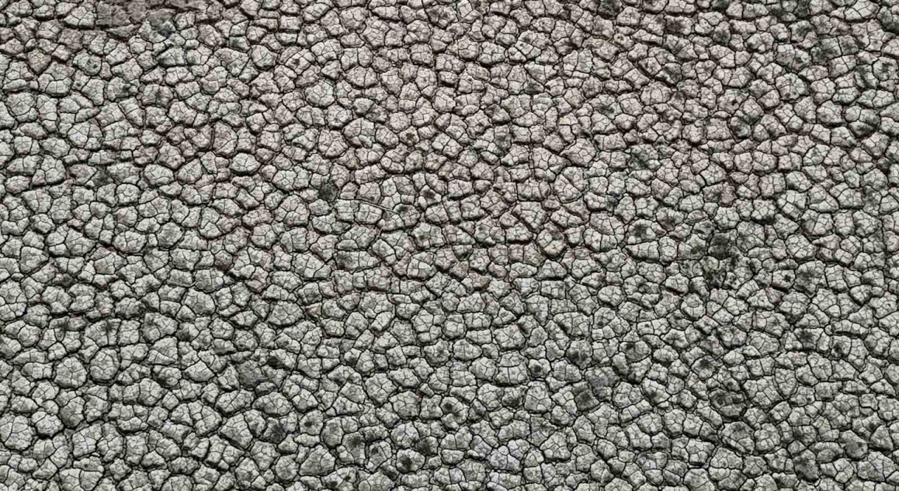 Kuraklığın izi: Seyhan Baraj Gölünde sular çekilince toprak çatladı