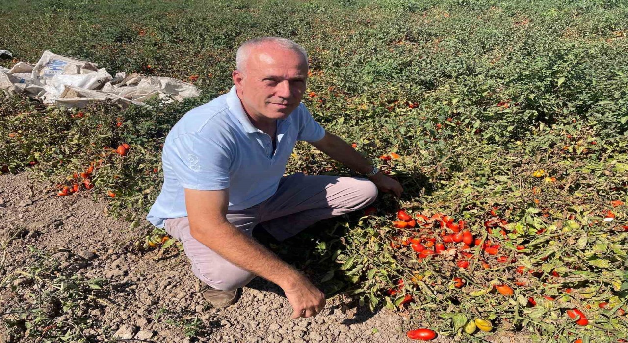 Londrada kazandıklarıyla memleketine toprak yatırımı yaptı