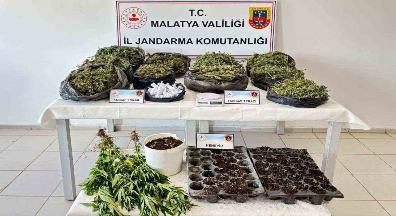 Malatyada 13 kilo esrar ele geçirildi: 5 şahıs tutuklandı