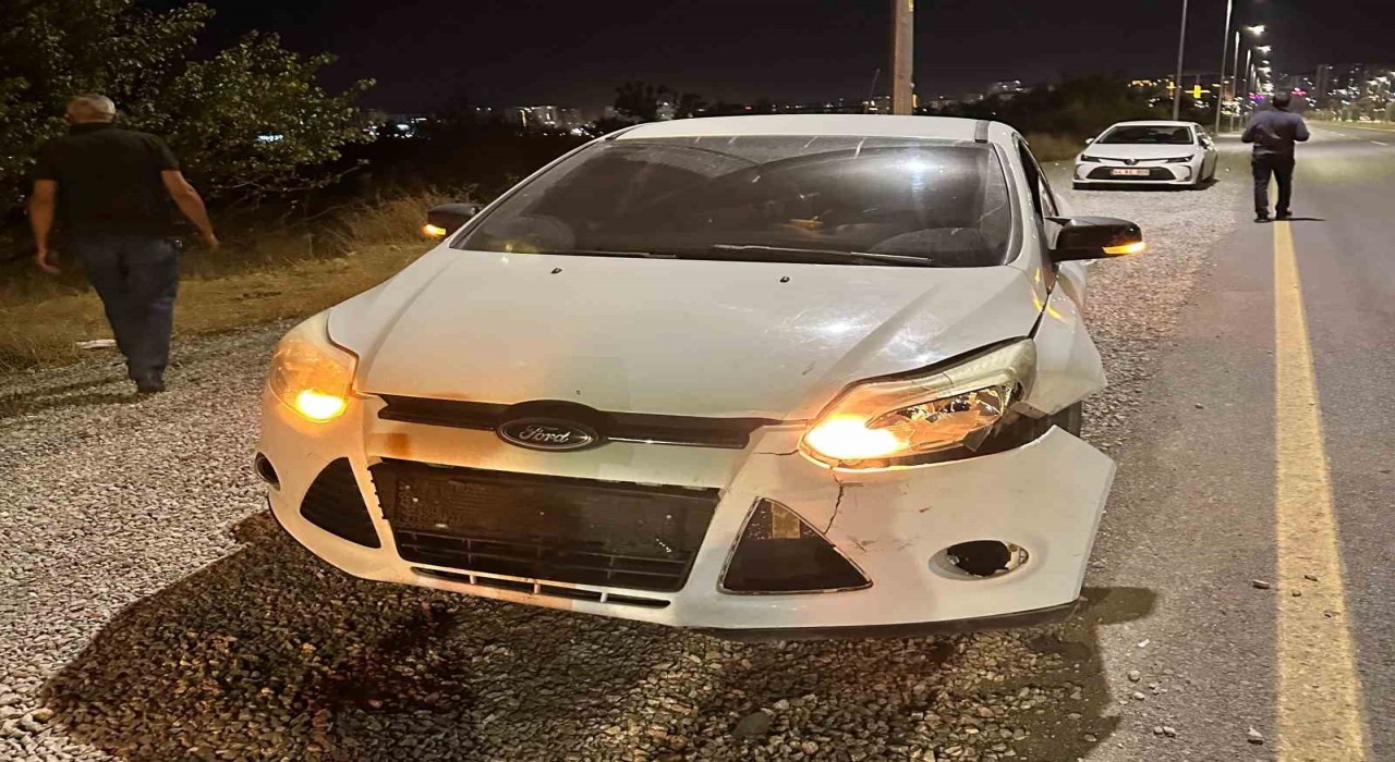 Malatyada otomobilin çarptığı domuz telef oldu