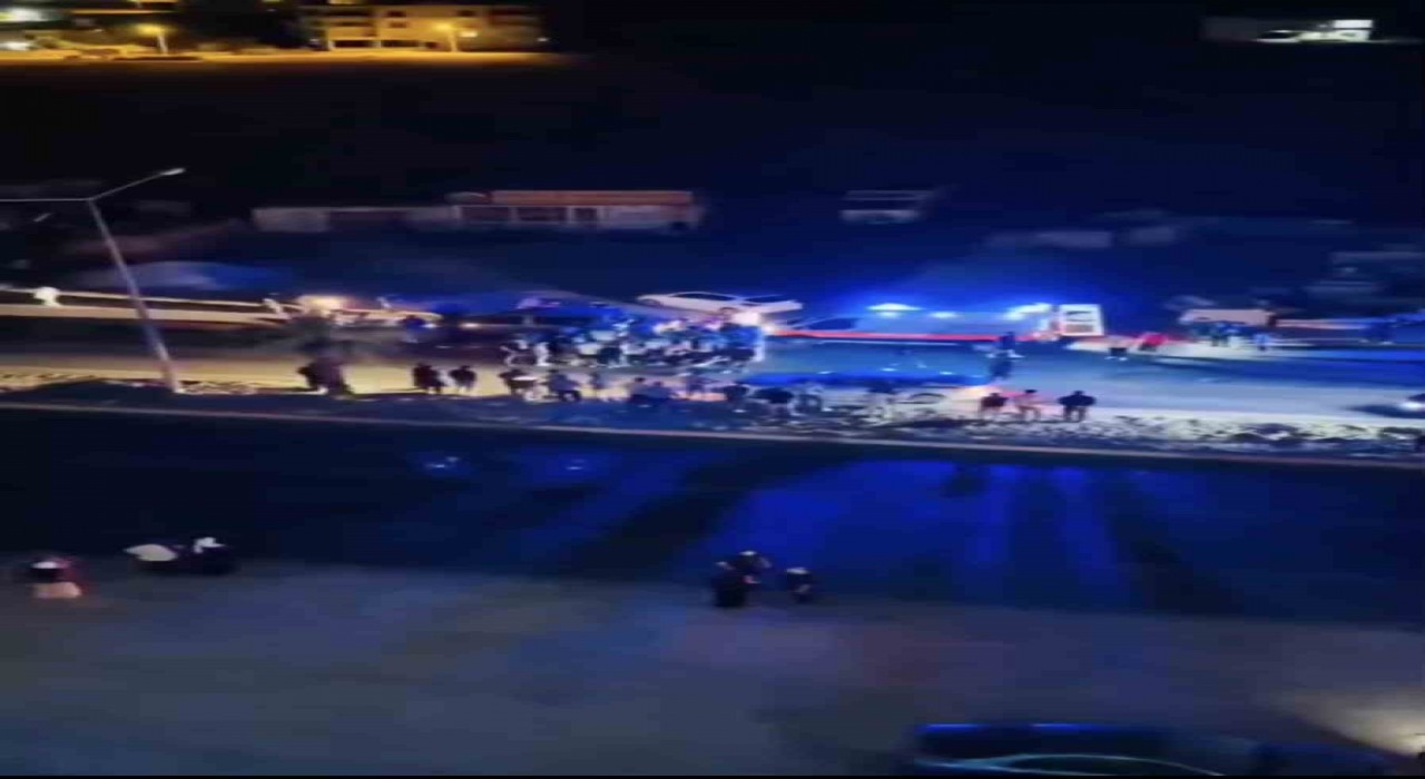 Mardinde otomobilin çarptığı kadın hayatını kaybetti