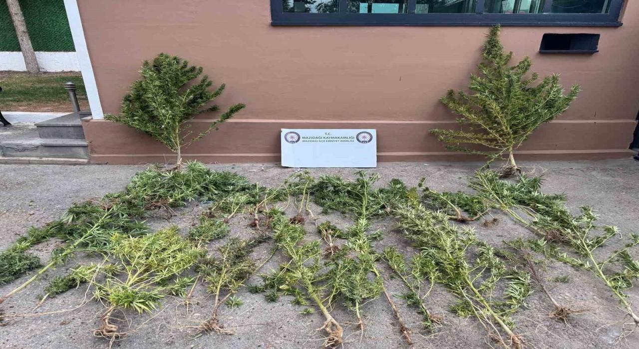 Mardinde uyuşturucu operasyonu: 3 gözaltı