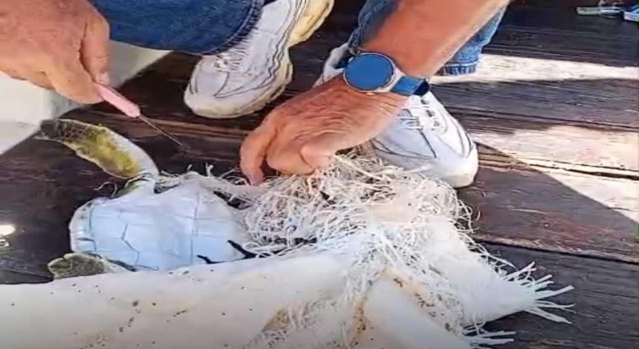 Marmaris Körfezinde çuvala dolanan deniz kaplumbağasını çevreciler kurtardı