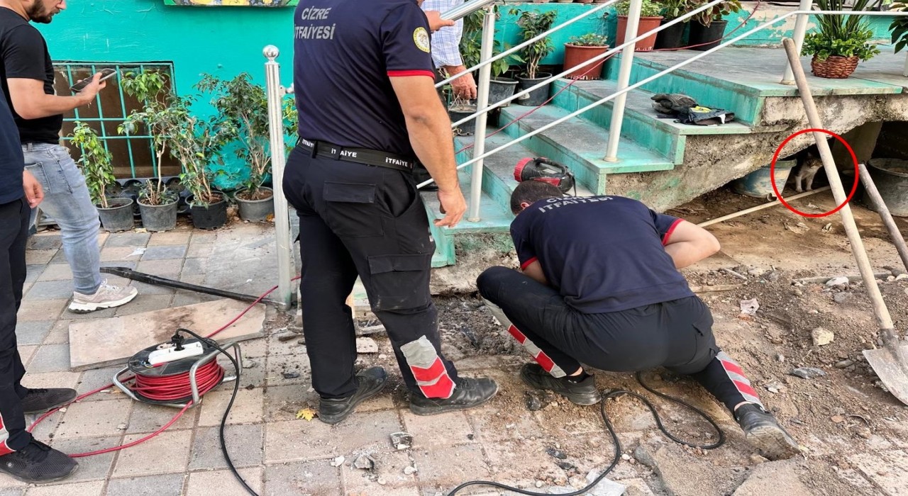 Merdiven boşluğuna sıkışan yavru kediyi itfaiye ekipleri kurtardı
