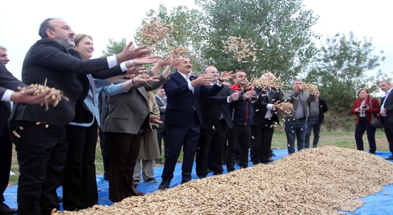 Meriçte fıstık şenliği