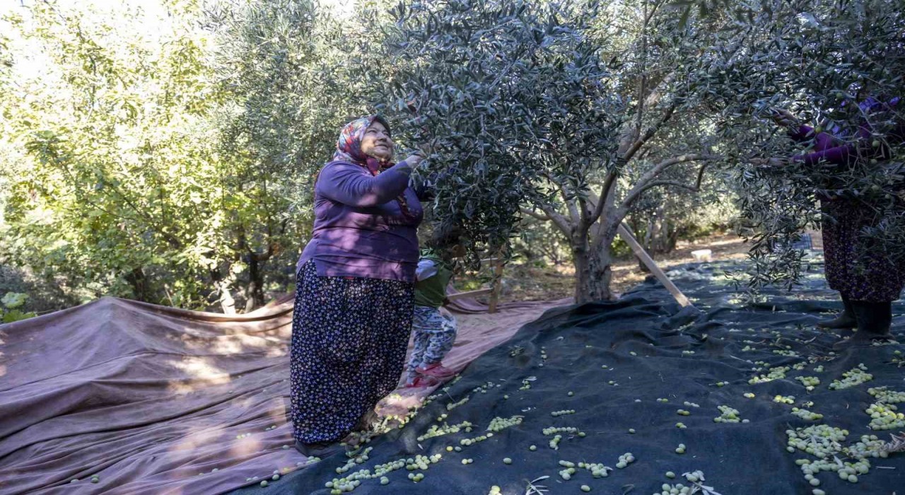 Mersinde kadınlar üreterek güçleniyor