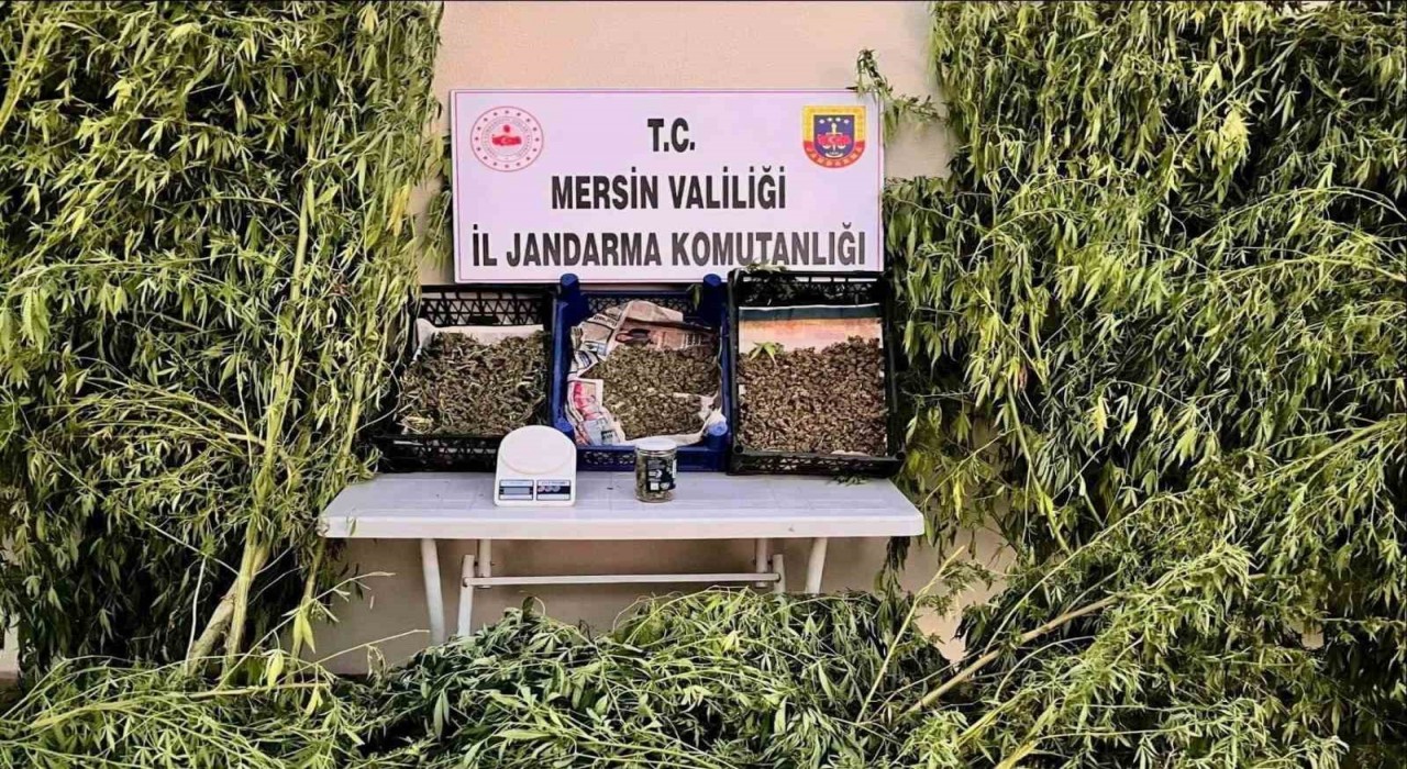 Mersinde uyuşturucu operasyonu