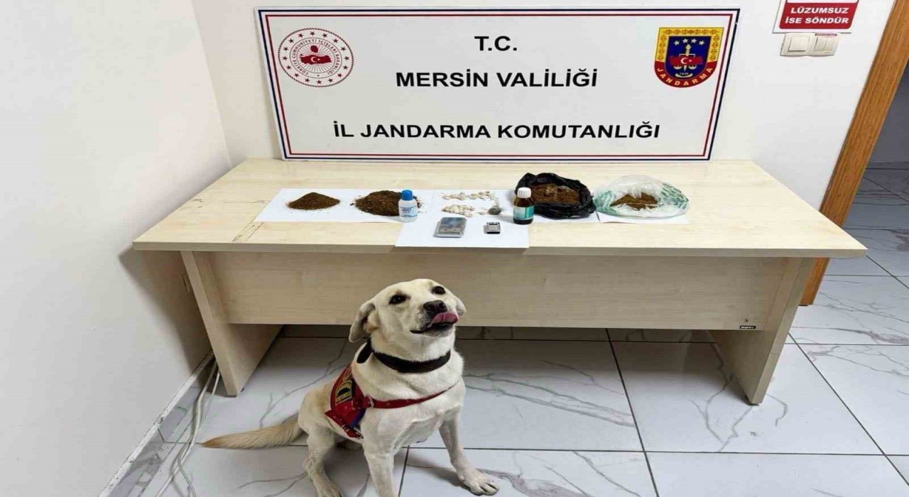 Mersinde uyuşturucu operasyonu: 5 şüpheli tutuklandı