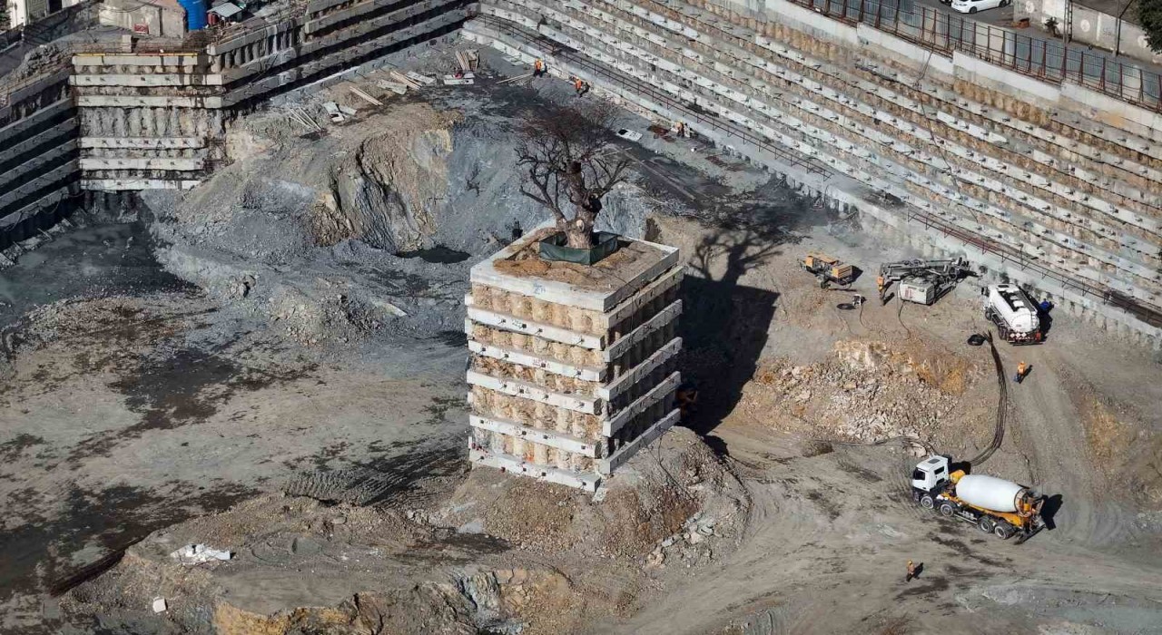 Milyarlık projede tarihi ağaca fore kazıklı koruma