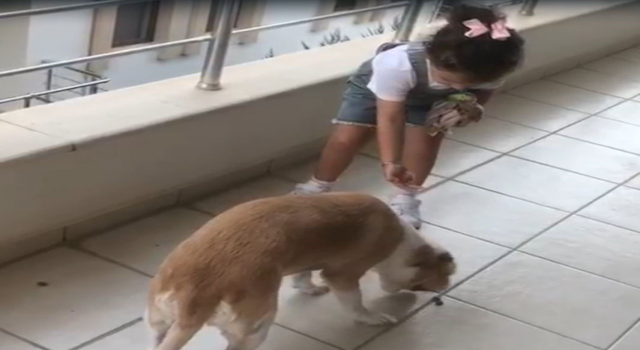 Minik Gökçeden örnek davranış