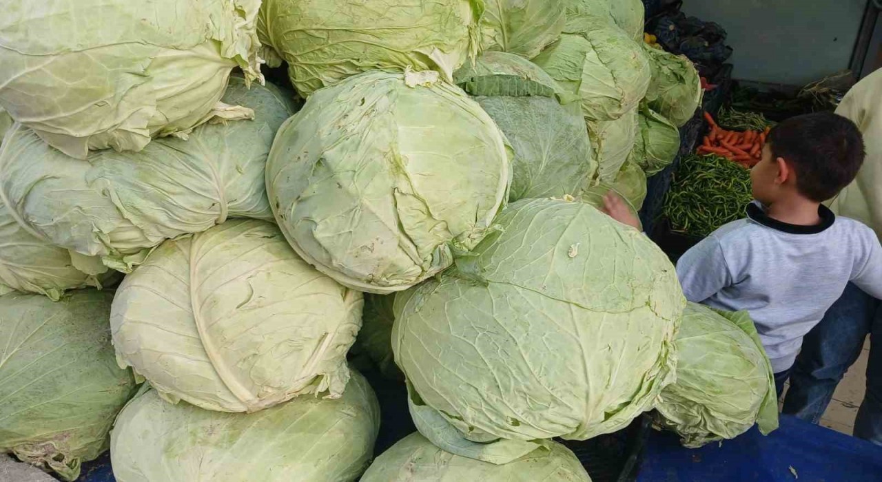 Muş lahanaları Diyarbakırda tezgahlarda yerini aldı