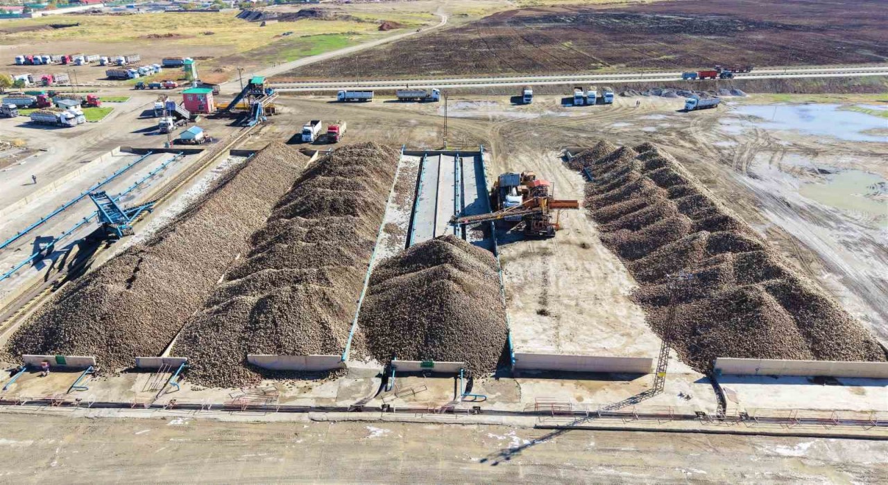 Muş Ovasında 1,7 milyar TLlik tatlı yolculuk