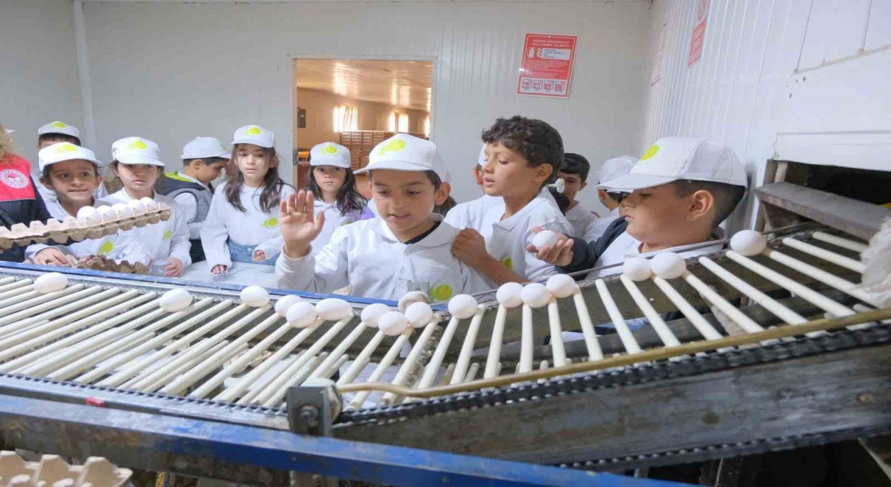 Muşta kooperatifçilik temalı tarım kampı düzenlendi