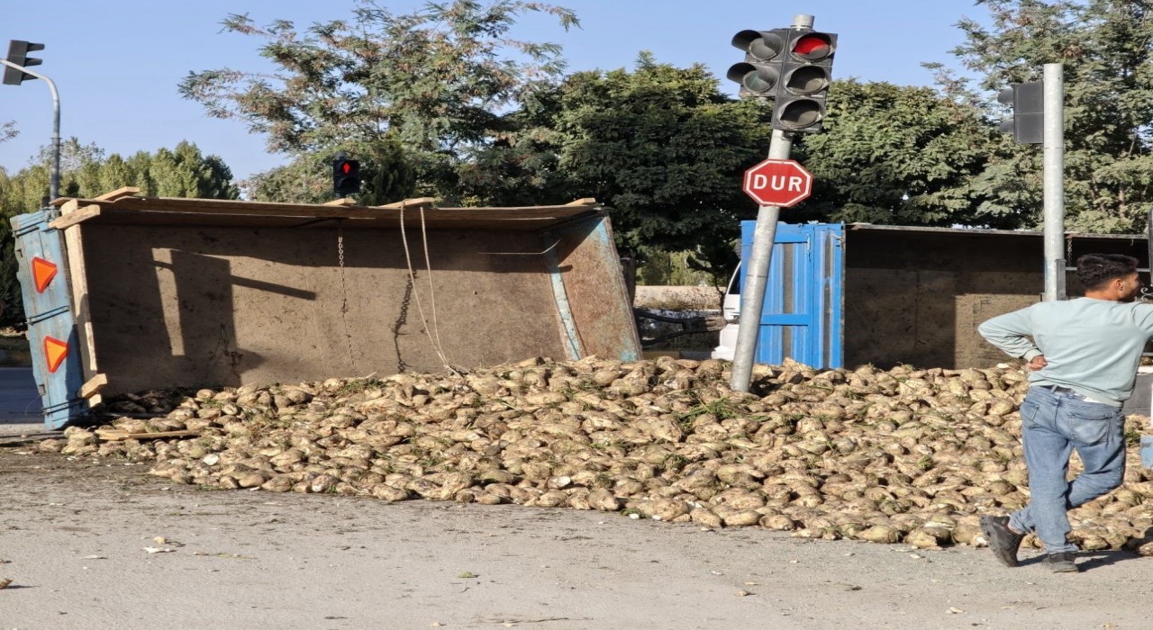 Muşta şeker pancarı yüklü traktör devrildi